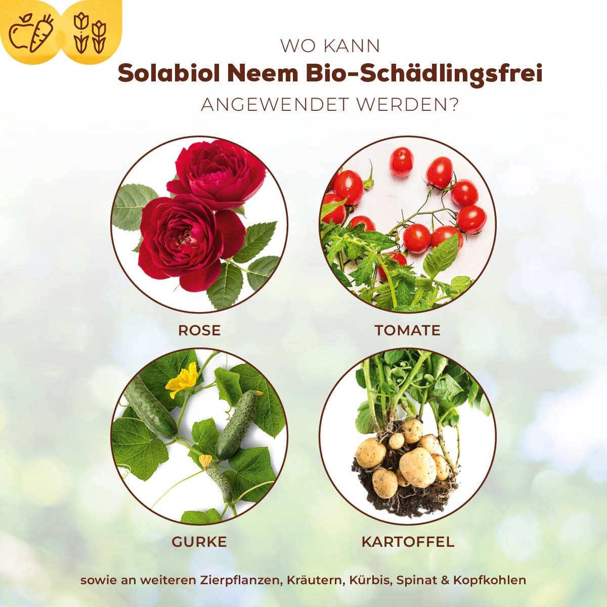 Solabiol Neem Bio-Schädlingsfrei 30 ml