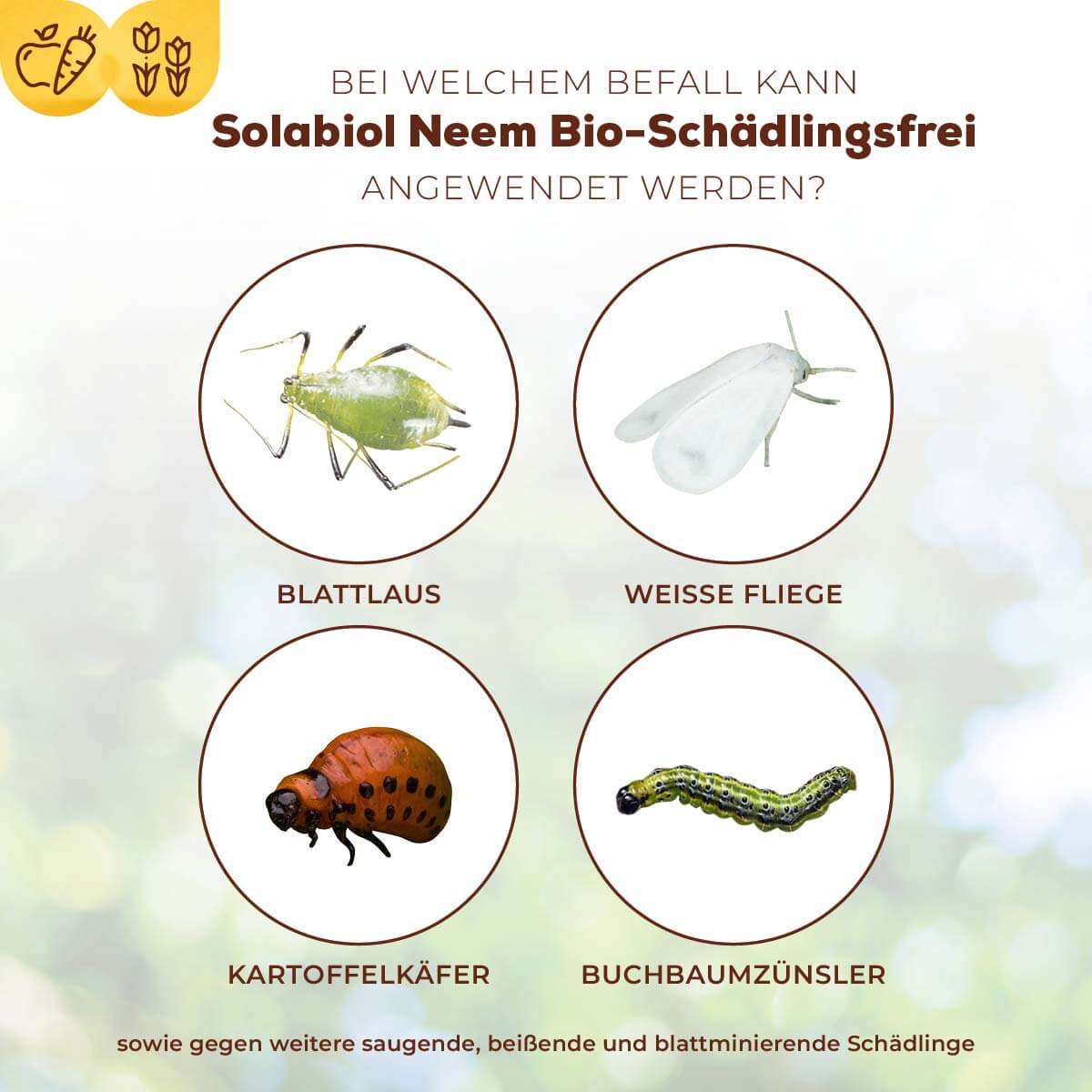 Solabiol Neem Bio-Schädlingsfrei 30 ml