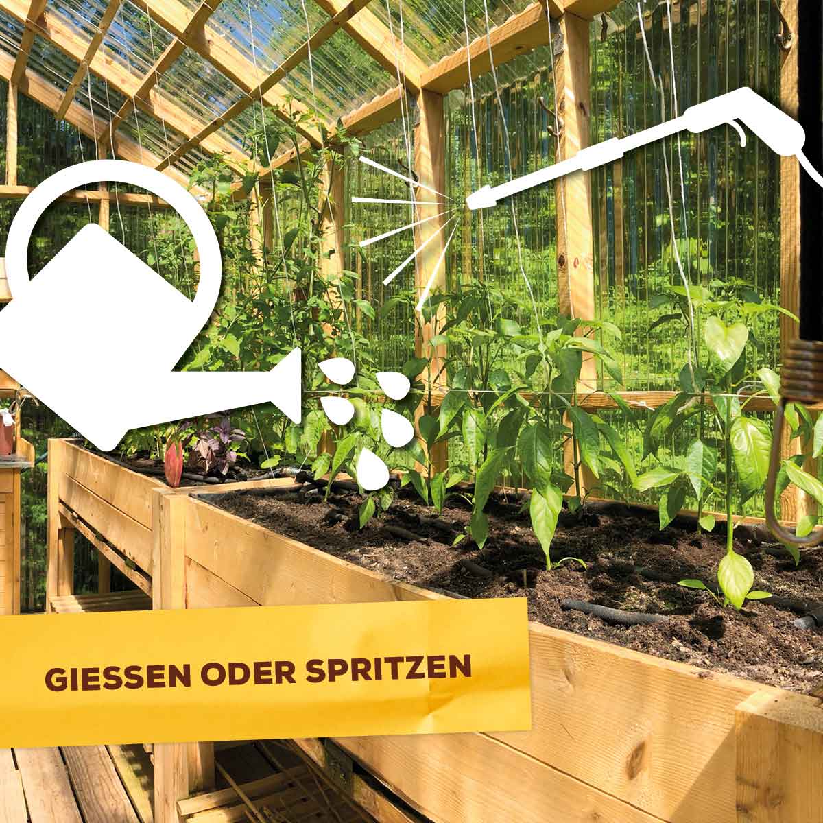 Solabiol Neem Bio-Schädlingsfrei 30 ml