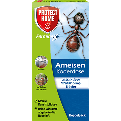 Ameisen
