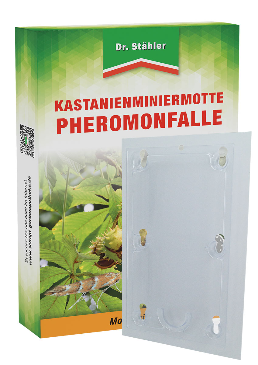 Dr. Stähler Kastanienminiermotte Pheromonfalle 2 Fallen 