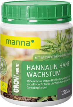 Manna Hannalin Wachstum - 500 g Wachstumsphase der Hanfpflanze