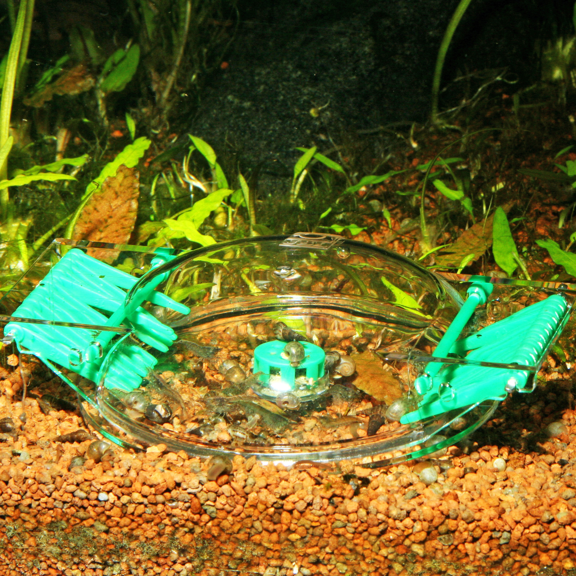 JBL LimCollect Schneckenfalle
