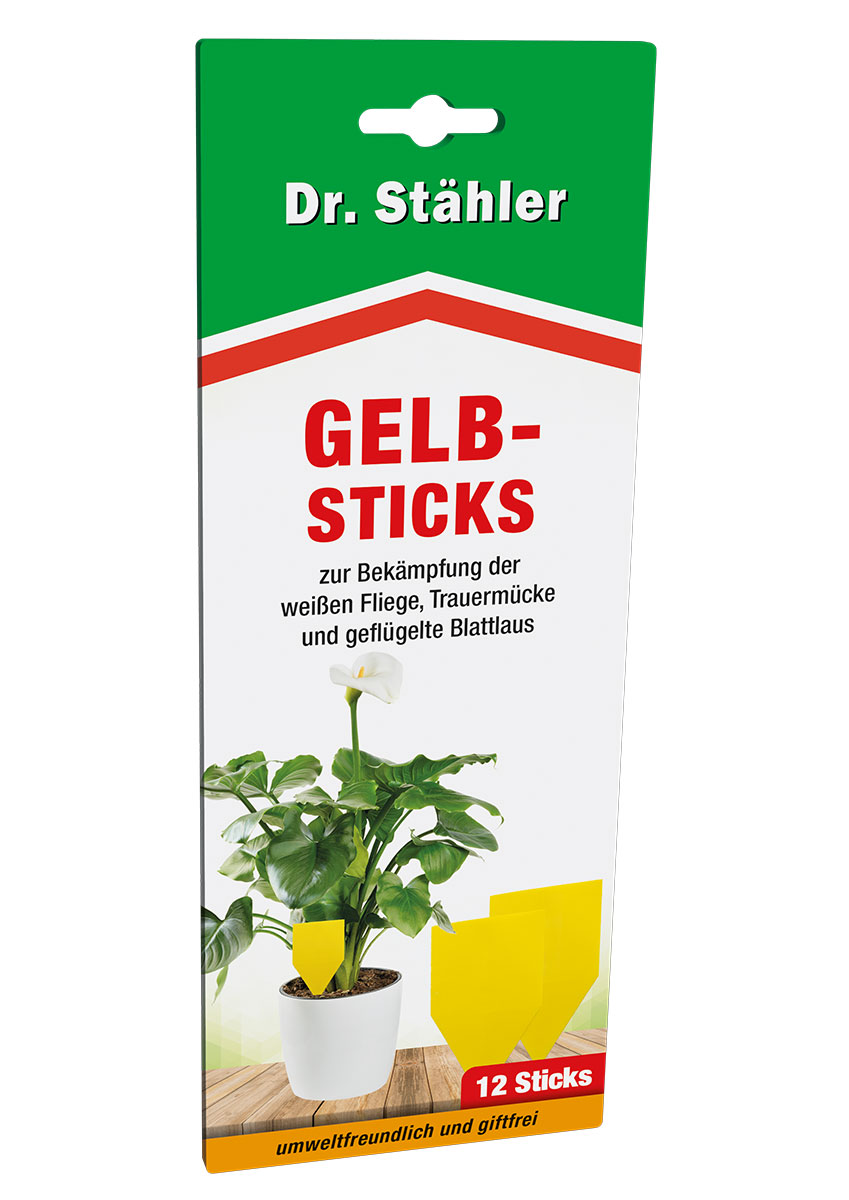 Dr. Stähler Gelb-Sticks 12 Sticks