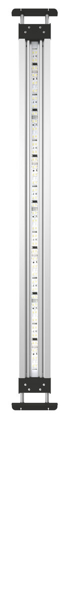 MotionControl LED Set 80