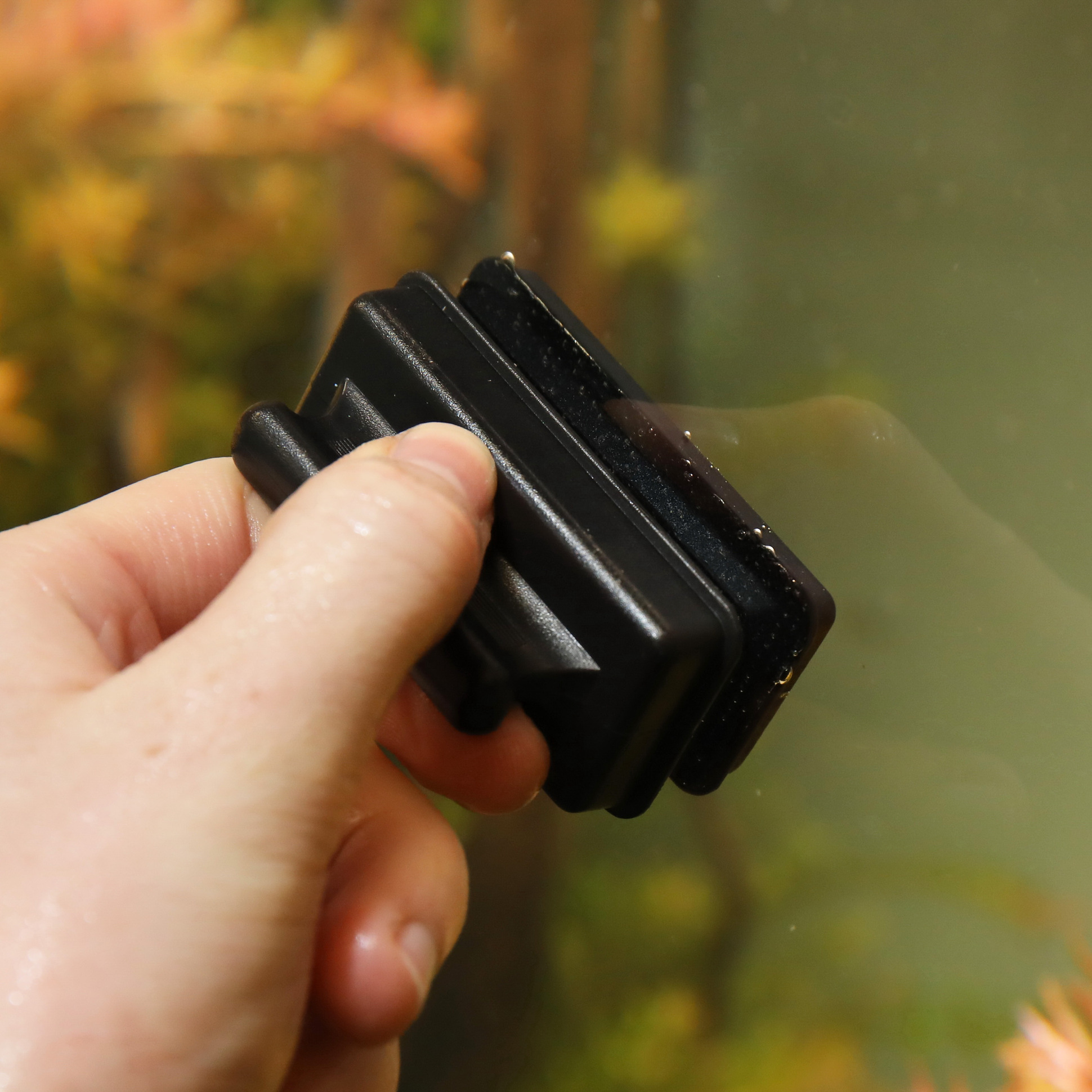 JBL Algenmagnet S