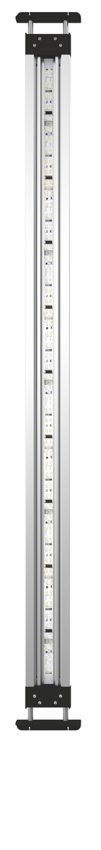MotionControl LED Set 100
