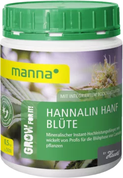 Manna Hannalin Manna Hannalin Blüte - 500 g Blühphase von Cannabispflanzen